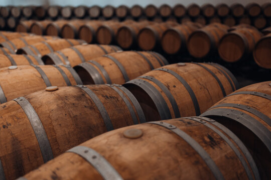 Oak Wine Barrels in a Traditional Winery Cellar, Wine Aging and Storage