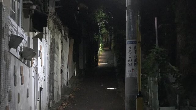 「うろこの家」へ続く夜の静かな坂道と街灯の光（神戸・北野異人館街）