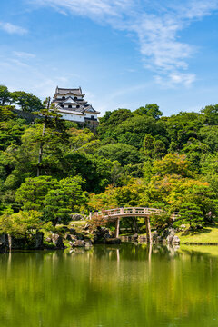 National Treasure Hikone Castle Keep viewed over the pond at Genkyuen Garden in Shiga, Japan.