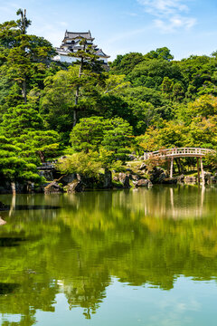 National Treasure Hikone Castle Keep viewed over the pond at Genkyuen Garden in Shiga, Japan.