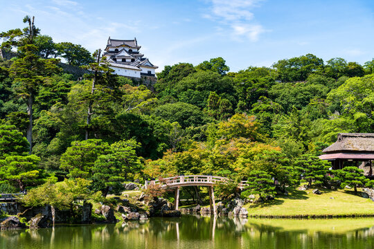 National Treasure Hikone Castle Keep viewed over the pond at Genkyuen Garden in Shiga, Japan.