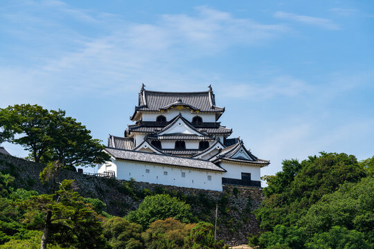 National Treasure Hikone Castle Keep viewed from Genkyuen Garden in Shiga, Japan.