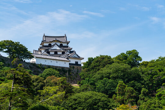 National Treasure Hikone Castle Keep viewed from Genkyuen Garden in Shiga, Japan.