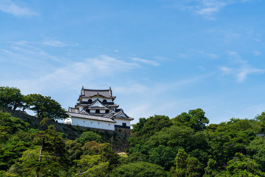 National Treasure Hikone Castle Keep viewed from Genkyuen Garden in Shiga, Japan.