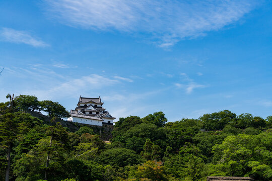 National Treasure Hikone Castle Keep viewed from Genkyuen Garden in Shiga, Japan.
