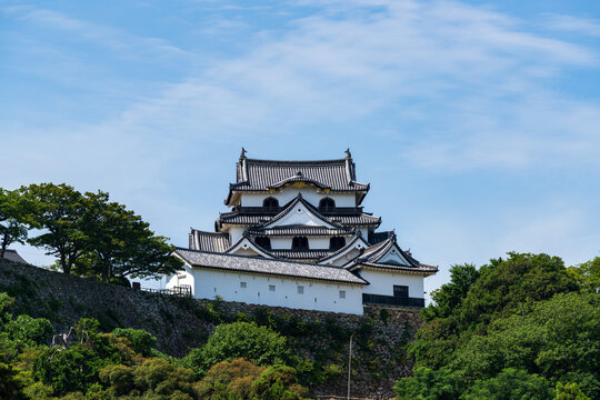 National Treasure Hikone Castle Keep viewed from Genkyuen Garden in Shiga, Japan.