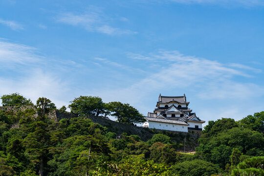 National Treasure Hikone Castle Keep viewed from Genkyuen Garden in Shiga, Japan.