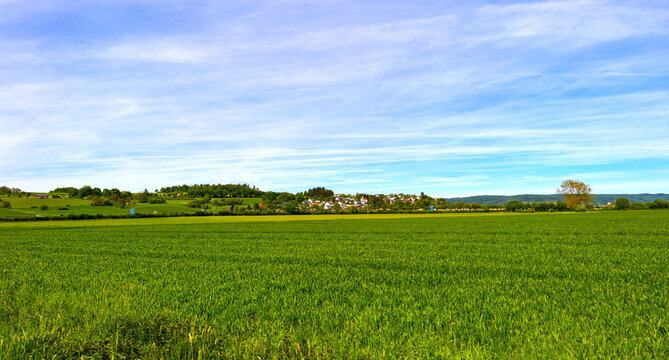 Weite gr&uuml;ne Wiese und Getreidefeld mit Blick auf Gr&uuml;ndau Rothenbergen, Hessen