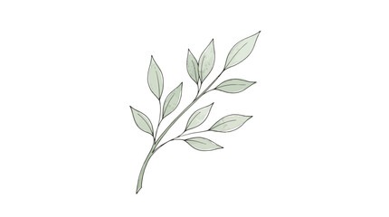 Fototapeta premium Minimalist Watercolor Botanical Branch with Sage Green Leaves