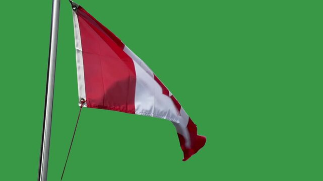 Slow motion Canadian flag with red maple leaf flaps in the breeze against a green screen background for easy chroma key compositing. 15285