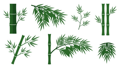 Fototapeta premium Green Bamboo Stems and Tropical Leaves Vector Illustration Set with Asian Botanical Branches and Decorative Foliage Elements for Nature Inspired Background Designs