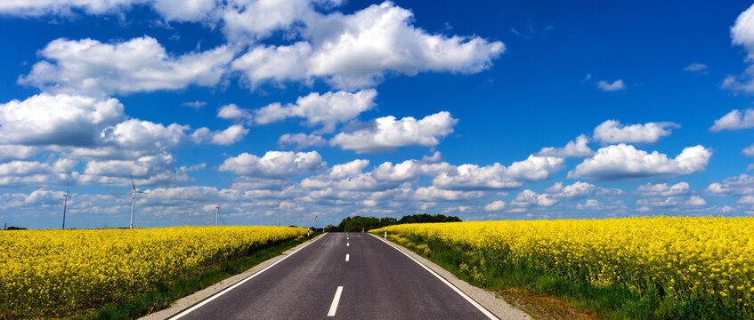 Stra&szlig;e durch bl&uuml;hendes Rapsfeld unter blauem Himmel in Hessen, L3314 bei Brachttal