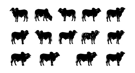 Obraz premium Brahman Cattle Silhouettes Collection, Farm Animals Vector Set, Livestock Icons