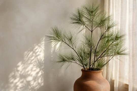 Longleaf pine branches in terracotta urn by linen curtain, natural home decor concept