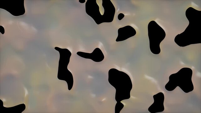 Abstract black blob animation on iridescent fluid background