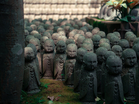 Field of Jizo Statues in Japan
