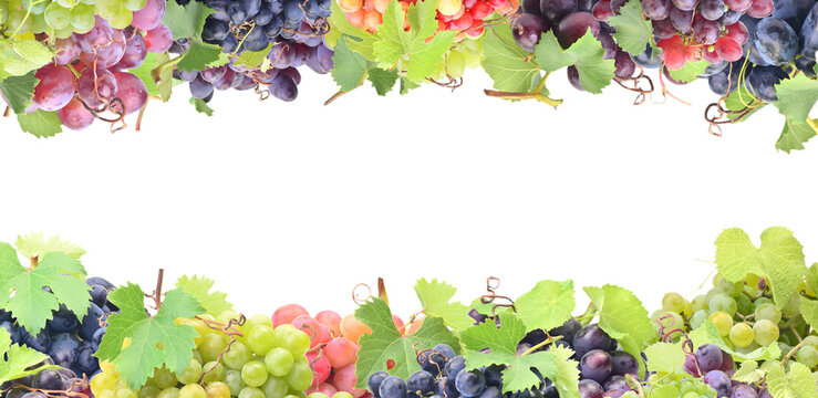 Frame grape fruit
