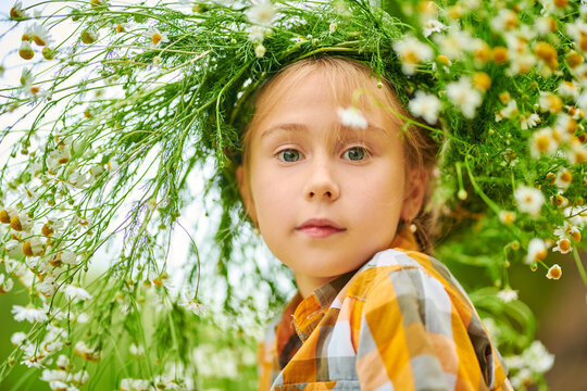 Wreath Chamomile Portrait