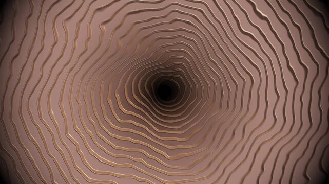 Abstract concentric rings animation with glowing bronze lines and dark center