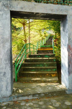 Concrete Stairway Leading Through a Green Outdoor Park