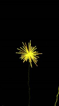 Animation of yellow and purple christmas and new year fireworks exploding in night sky