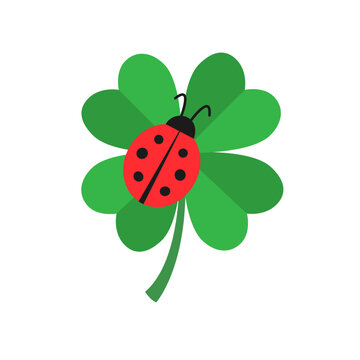 Cheerful ladybug on four leaf clover flat design 