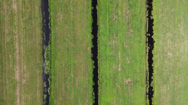 Top-Down Aerial View of Green Polder Fields and Drainage Ditches near Loetbos, Krimpen aan den IJssel