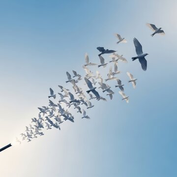 A large flock of white birds soaring in a clear blue sky, representing freedom and natural beauty.