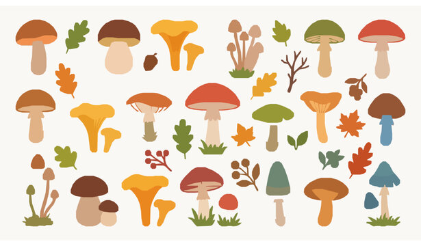 Colorful woodland mushroom collection with cute fungi and forest nature vector illustrations