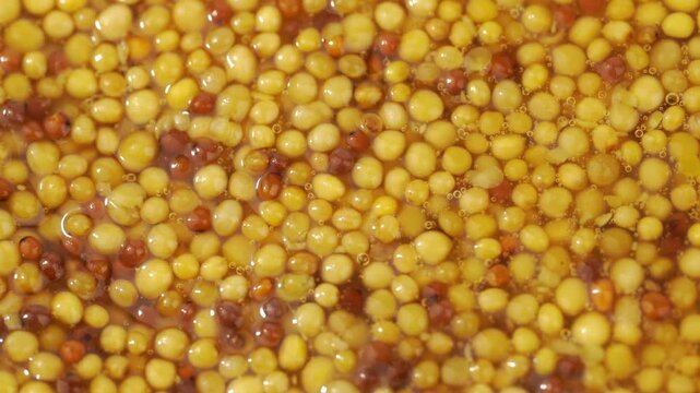 French Dijon mustard in a metal spoon, top view on mustard grains background. Gastronomy concept, organic food. Sauce. Slow rotation in a circle.	
