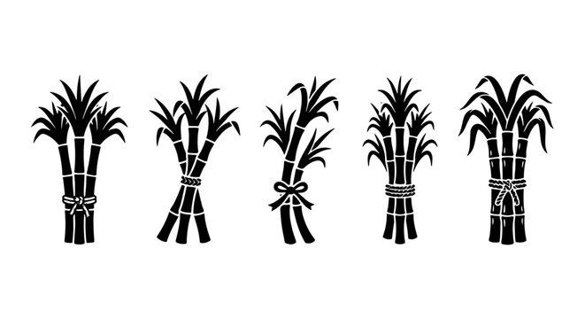 Black Silhouette Sugar Cane Stalks, Agricultural Harvest Bundles, Sweet Natural Ingredient Icons