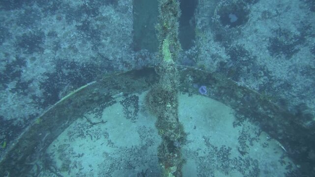 Elevated underwater view looks across the front of an encrusted gun mount on C-56 Juan Escutia shipwreck, Puerto Morelos, Quintana Roo, Mexico.