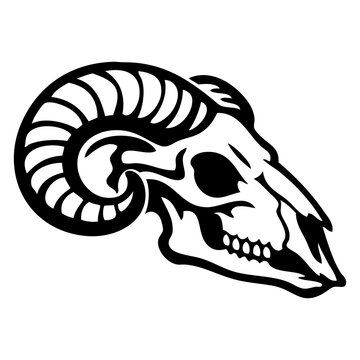 Icono con dibujo sencillo con lineas del cr&aacute;neo de un carnero visto de perfil 