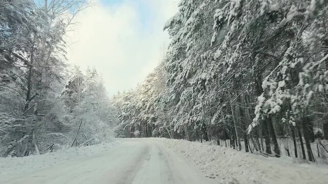 Vehicle traveling along a winding snow covered forest road past a warning sign, showing a winter journey through a serene woodland landscape