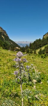 Le massif du Carlit et le Capcir vus depuis la Vall&eacute;e d'Eyne (Cerdagne fran&ccedil;aise, Pyr&eacute;n&eacute;es catalanes)