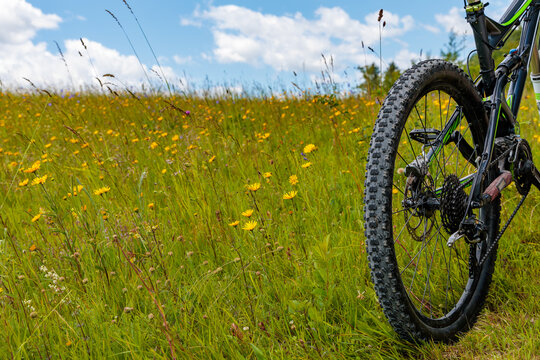Mountain bike rear wheel close up on alpine meadow with yellow wildflowers under blue sky, cycling sports and outdoor adventure concept