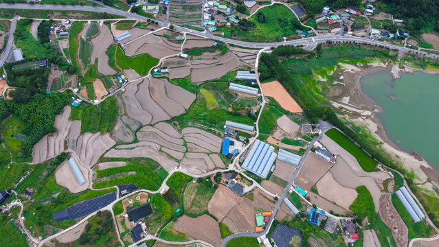 Top down 4K drone view of Yeosu Dolsan farmland fields and rural patterns in August
