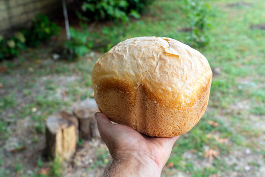 Homemade loaf of bread held in hand outdoors