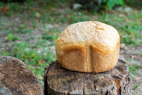 Loaf of fresh warm bread on tree stump