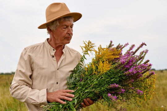 An herbalist gathers various medicinal herbs in a field during the afternoon. The man holds a large bouquet of colorful plants while examining them closely