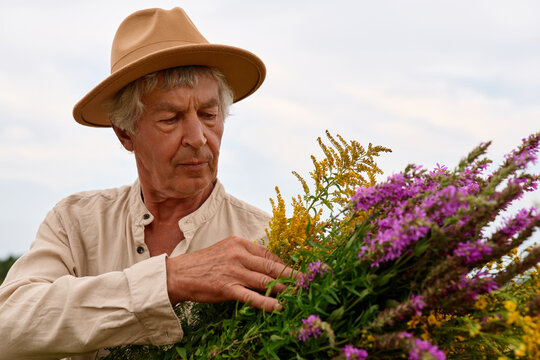An older man with a hat picks colorful herbs from a large bundle. He is in a field surrounded by plants on a clear day, focused on his task