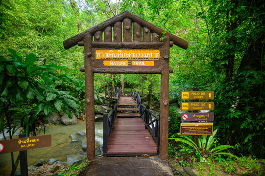 Wooden Entrance to Nature Trail in Lush Green Forest with Signage