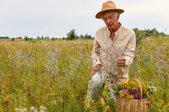 A person picks medicinal herbs in a green field. They wear a hat and hold a basket with different plants. The sky is light and clear during the day