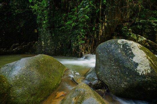 Serene Stream Flow Through Mossy Rocks and Dense Forest Vegetation