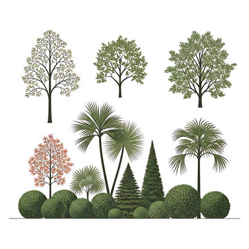 A diverse tree and garden plant vegetation collection showcasing nature elements for landscaping and architectural visualization designs