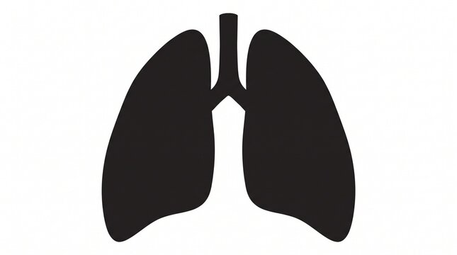 Human lungs anatomy silhouette icon with respiratory biological breathing
