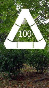 Triangle with number 100 animation over forest landscape with trees and bushes