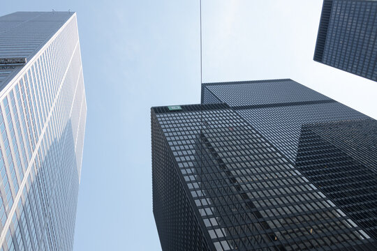 skyward glance at Commerce Court West (at left) and Toronto-Dominion Centre, designed by Ludwig Mies van der Rohe and others, in modern international style, King and Bay 