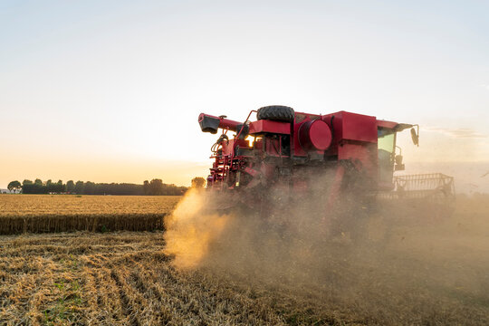 The combine is harvesting the wheat in the evening