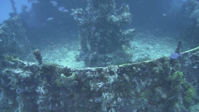 Underwater camera tilts upward from the wreck deck toward a heavily encrusted gun structure on C-56 Juan Escutia, Puerto Morelos, Quintana Roo, Mexico.